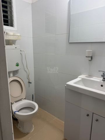 המלך דוד 11