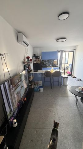 האסיף 2