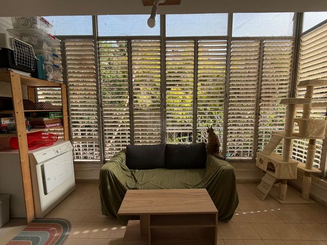 דפנה 36
