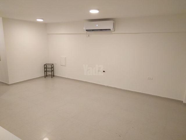 ההסתדרות 207