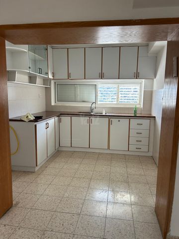 החרצית 40