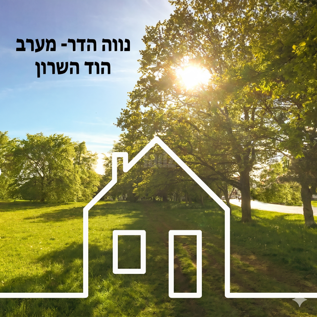 מגרשים