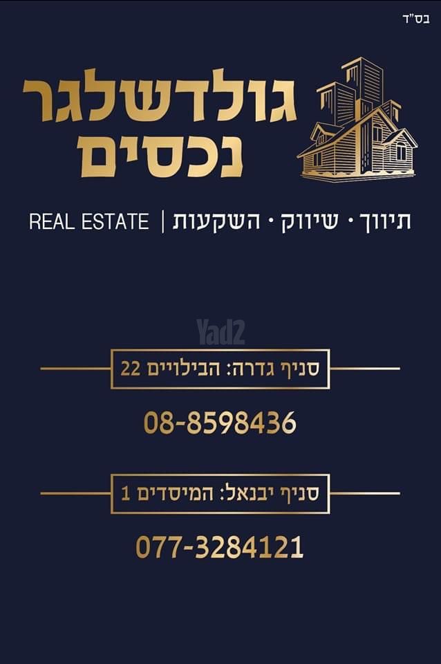 צבי ארקין