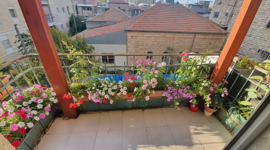 השיקמה 
