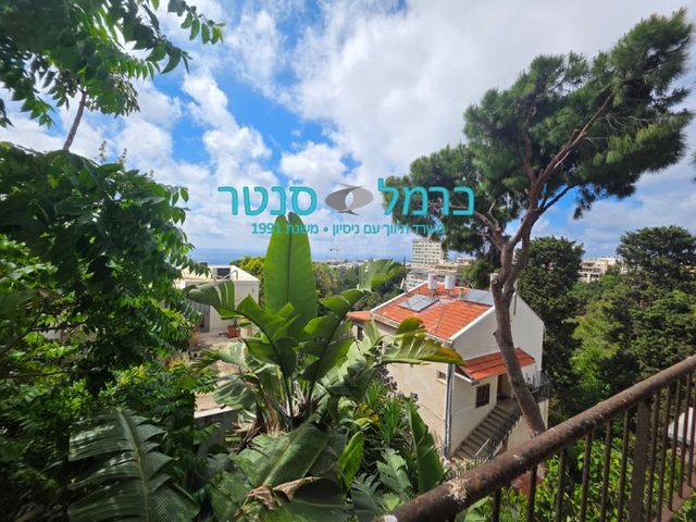 ניצנים 