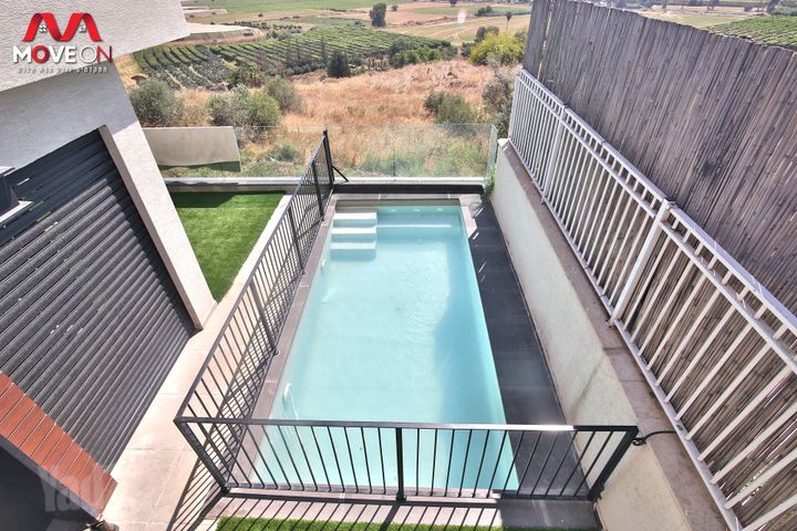 השקד 1
