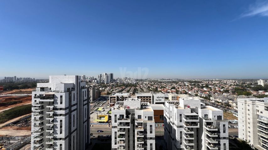 נרקיסים