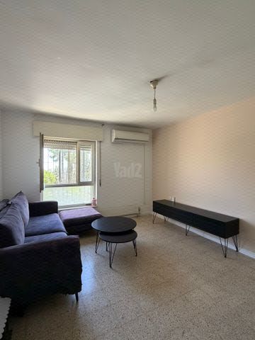 הצוף 42