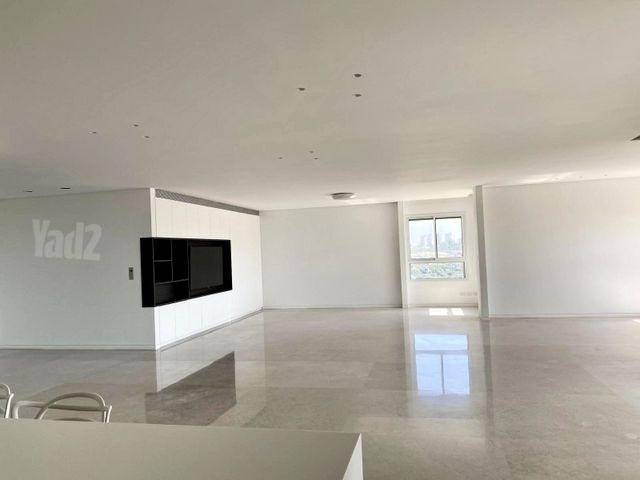 גג/ פנטהאוז להשכרה בתל אביב יפו (תיווך) — 3