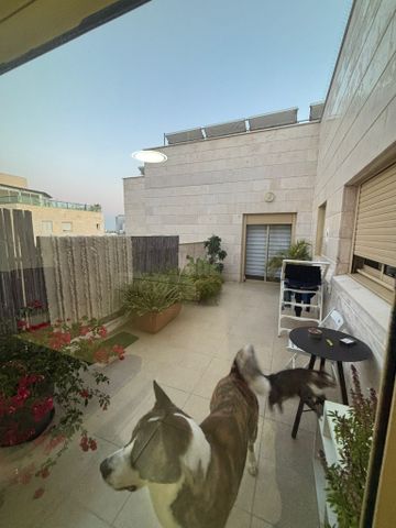 שביל חודשי השנה 