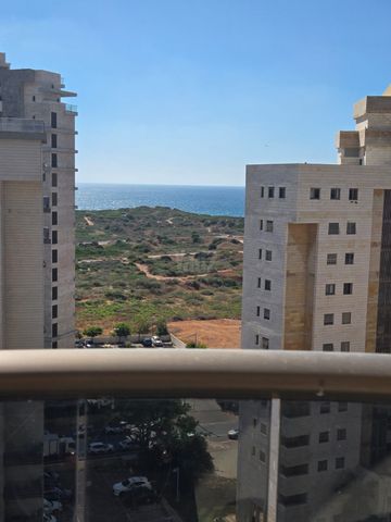 ארזי הלבנון 22