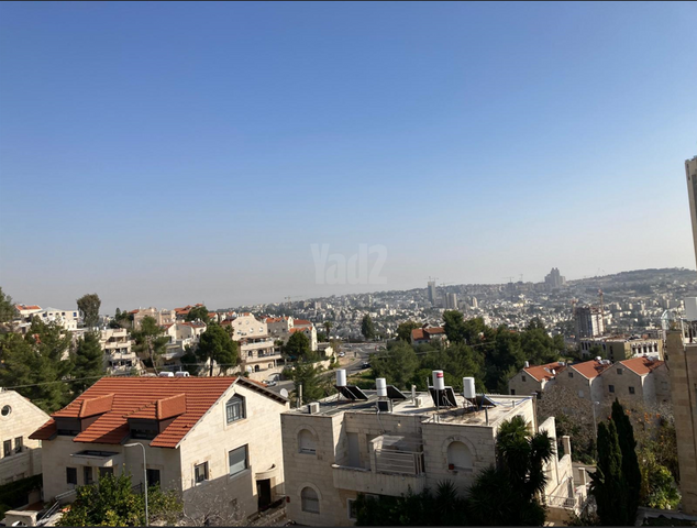 דוד פ. מרץ 