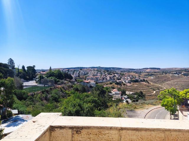 רקפת 14