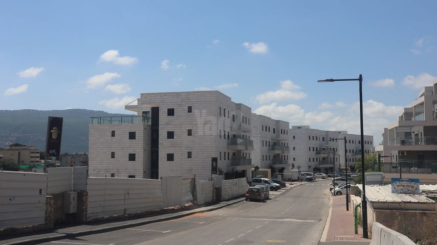 השקד 32
