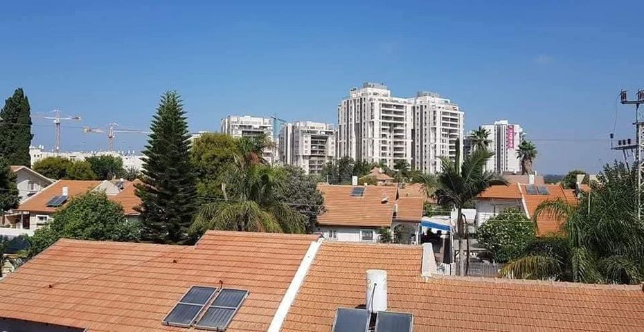 איריס 4