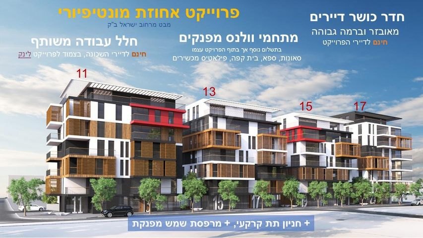 ישראל ב"ק 13