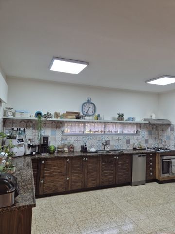 ארז 40