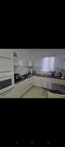 הגפן 37