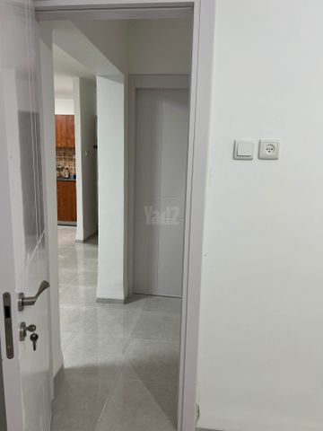 ציפורי 2