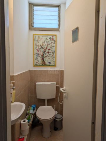 ברוך שפינוזה 15