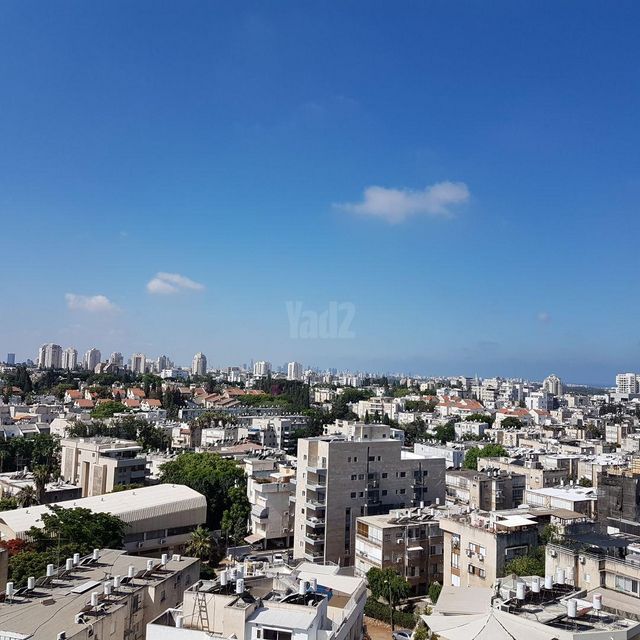 מוהליבר 1