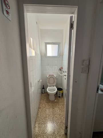 התאנה 3