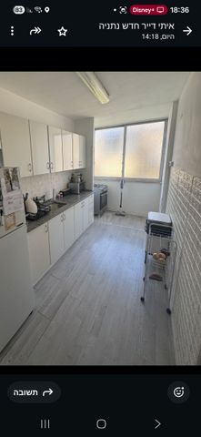 ברודצקי אשר 41