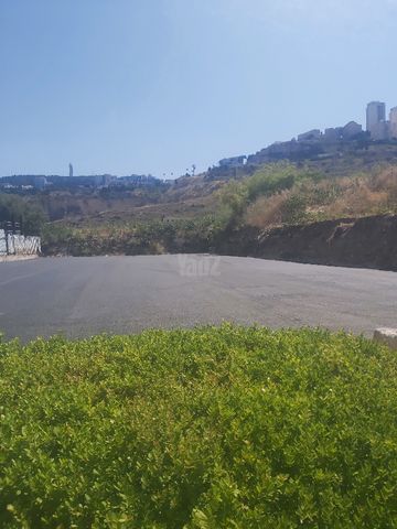 מקלף 52