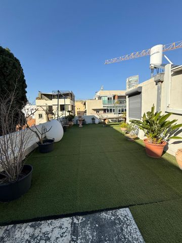 גג/ פנטהאוז למכירה בתל אביב יפו (תיווך) — 5