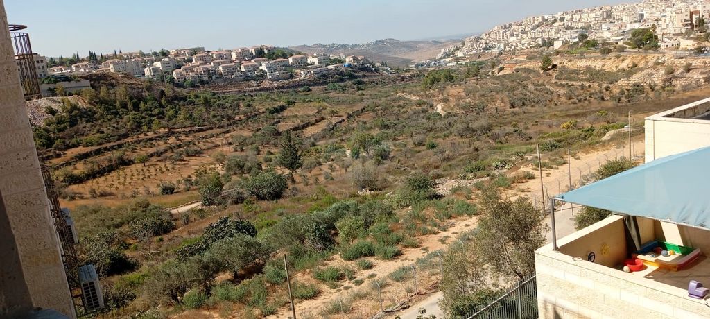מגרשים
