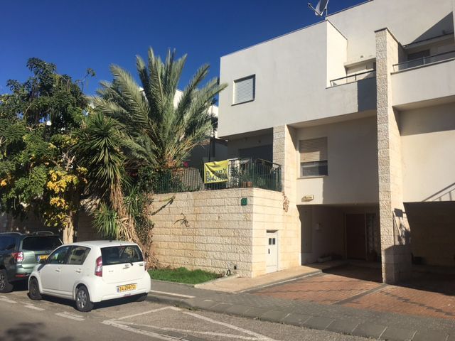 צאלון 