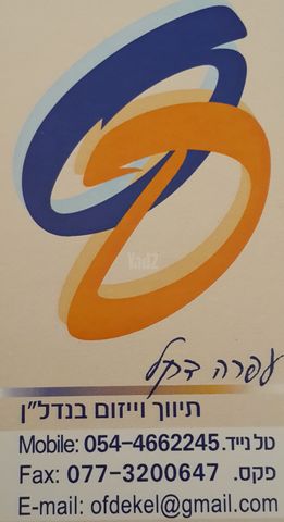 עין גדי 