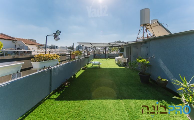 חזון אי"ש