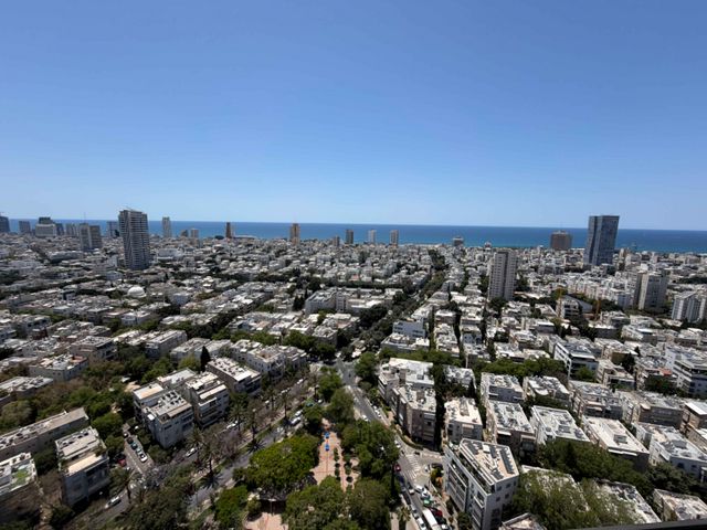 הדסה 