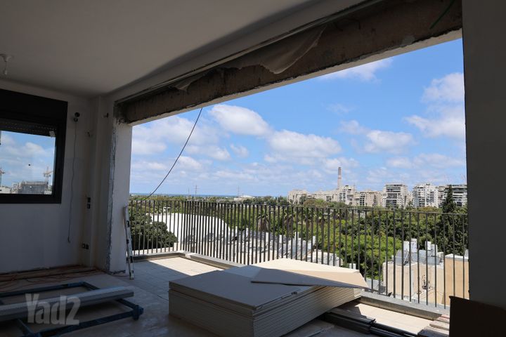 שלומציון המלכה 