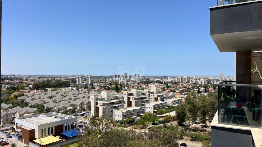 נרקיסים