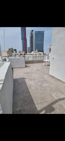 פרחי אביב 