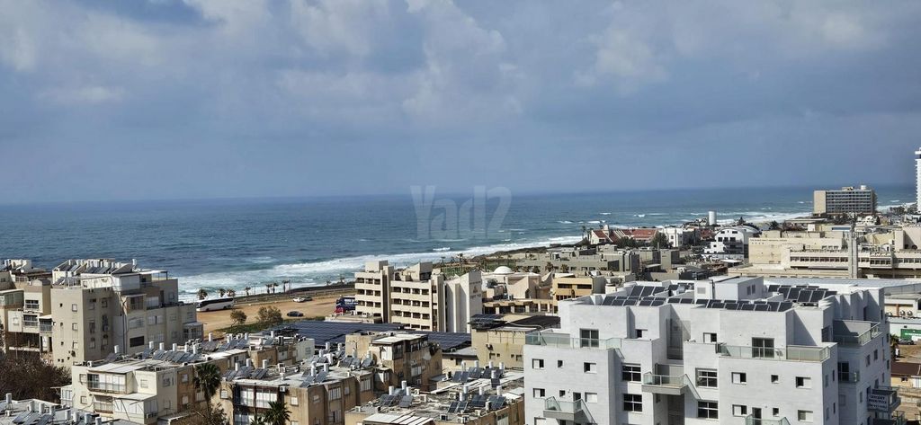 הרב הרצוג 