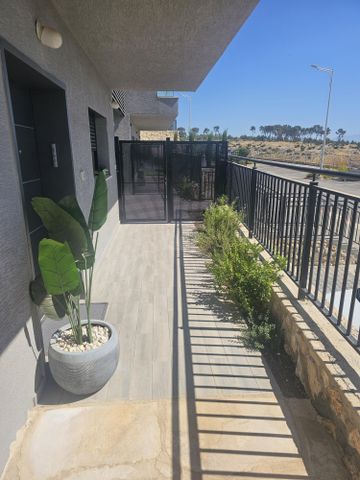 התאנה 27