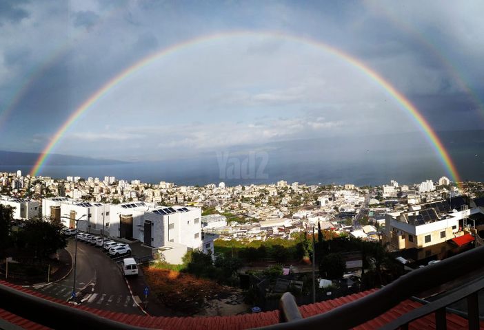 הדקל 10
