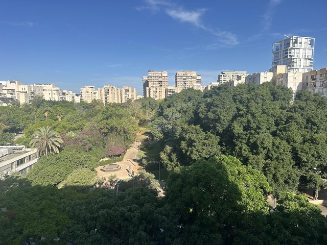 אליהו בית צורי 15
