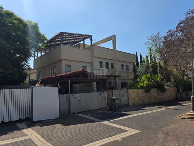 הציפורים 6