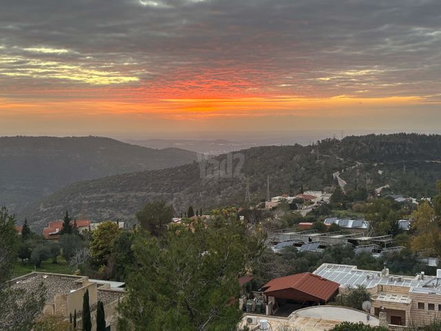 ורד 1