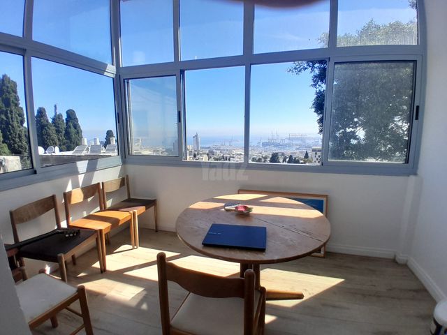 כינרת 15
