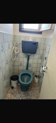 שבעת המינים 8