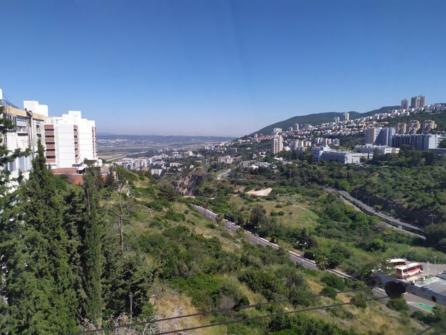 גדליהו 7