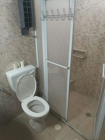 הצבי 111