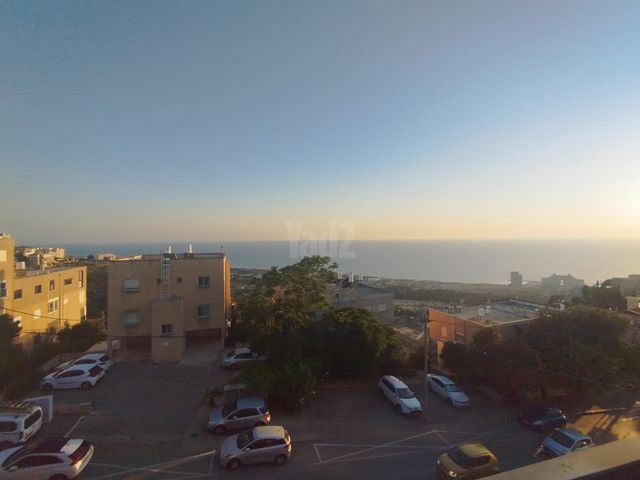 רענן 36