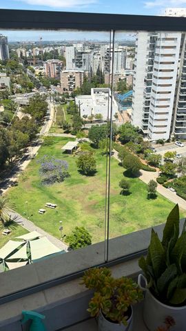השונית 10