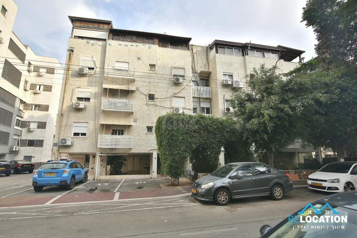 דן 31